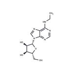 N6-Ethyladenosine