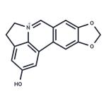 Lycobetaine