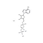 ATP disodium salt hydrate