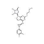 Antiplatelet agent 2