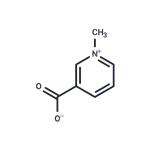 Trigonelline