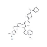 BzATP triethylammonium salt