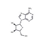 2′-Thioadenosine