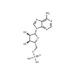 Adenosine monophosphate