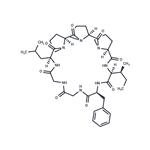 Heterophyllin B