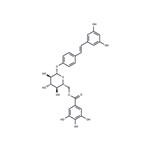 Resveratrol 4'-(6-galloylglucoside)