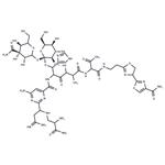 Phleomycin