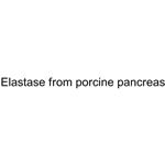 Elastase from porcine pancreas