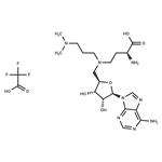 GSK2807 Trifluoroacetate