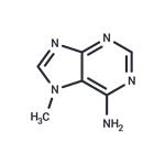 7-Methyladenine