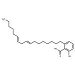 (E/Z)-Ginkgolic acid C17:2