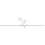 C16 Sphingomyelin (d18:1/16:0)