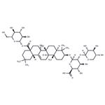 Pseudoginsenoside RT1 pictures