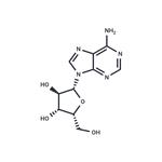 9-(β-D-Xylofuranosyl)adenine