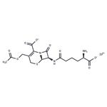 Cephalosporin C zinc salt