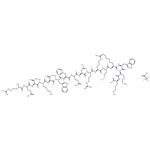 Antennapedia Peptide TFA