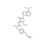 O-Propargyl-Puromycin