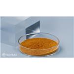 Cyanotis arachnoidea Extract