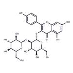 Kaempferol 3-O-sophoroside