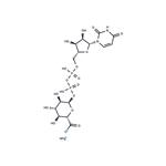 Uridine diphosphate glucuronic acid ammonium