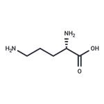 L-Ornithine