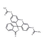 Fluorescein diacetate pictures