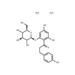 Phlorizin dihydrate