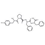 Endomorphin 2