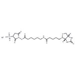 Sulfo-NHS-LC-Biotin sodium