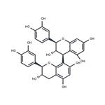 Procyanidin B3