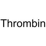 Thrombin (MW 37kDa)