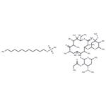 Erythromycin estolate