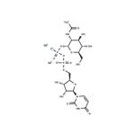 UDP-GlcNAc Disodium Salt