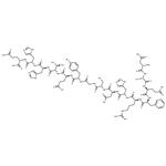 β-Amyloid (1-15)