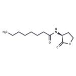 N-octanoyl-L-Homoserine lactone