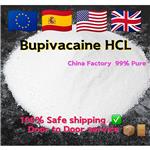 14252-80-3 Bupivacaine hydrochloride