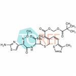  Cefditoren Pivoxil Impurity 25