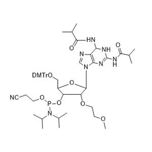 ASO Oligo-Z