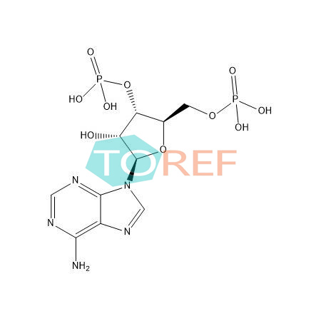 Bucladesine Impurity 5