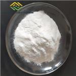 N-ISOPROPYLMETHACRYLAMIDE