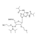 ASO Oligo-Z