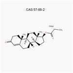  Raws-Testosterone Propionate(Test p,Test prop,TP)