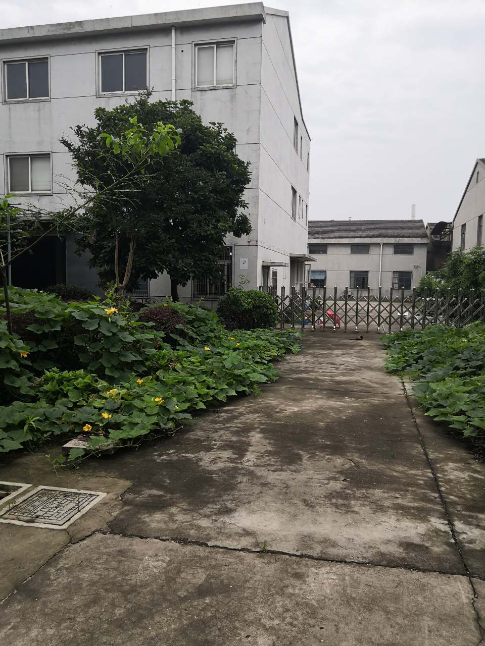 Pictures of scenes