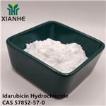 57852-57-0 Idarubicin Hydrochloride