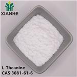 3081-61-6 L-Theanine