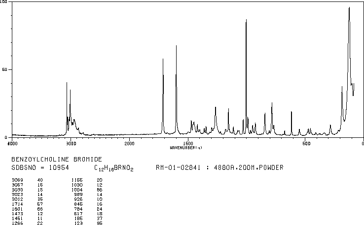 BENZOYLCHOLINE BROMIDE(24943-60-0) <sup>1</sup>H NMR