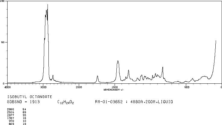 N-CAPRYLIC ACID ISOBUTYL ESTER(5461-06-3) <sup>13</sup>C NMR