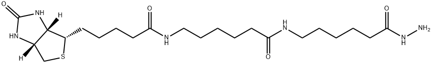 BIOTIN-XX-HYDRAZIDE Struktur