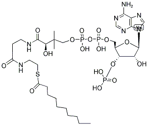 DECANOYL COENZYME A Struktur