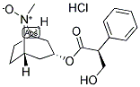 HYOSCYAMINE N-OXIDE HYDROCHLORIDE Structure